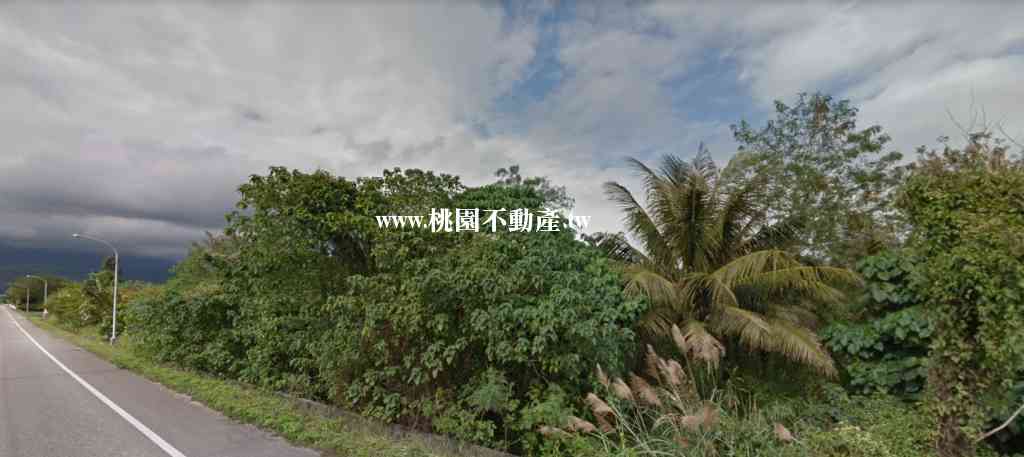 花蓮壽豐鄉美農地三面臨路視意圖